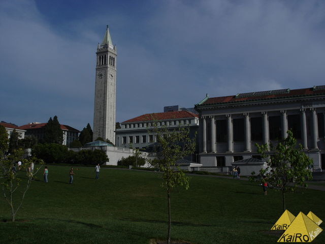 Image No. 19304