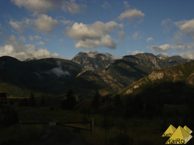 Image No. 21071