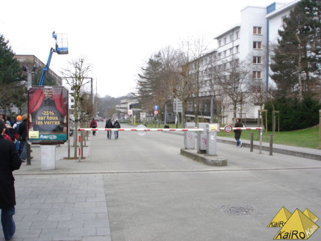 Image No. 21145