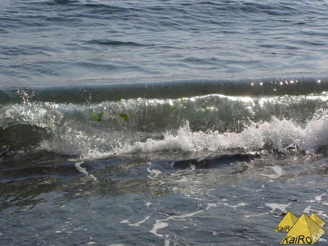 Bild Nr. 21176