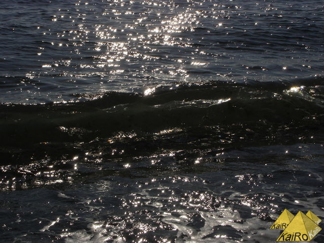 Bild Nr. 21177