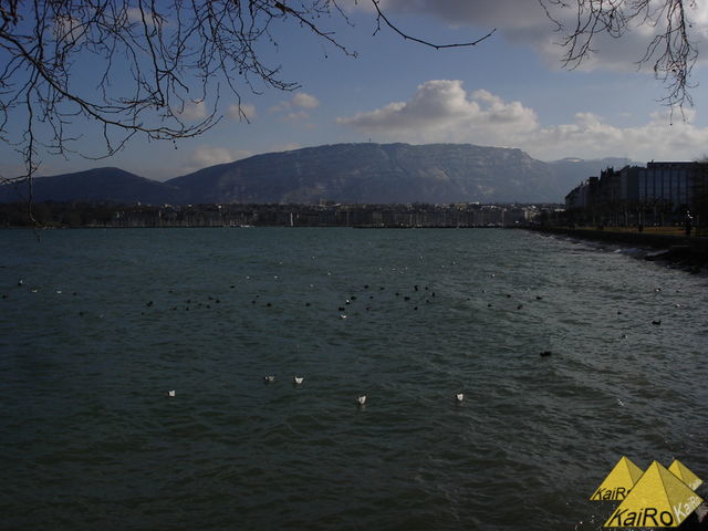 Bild Nr. 21347