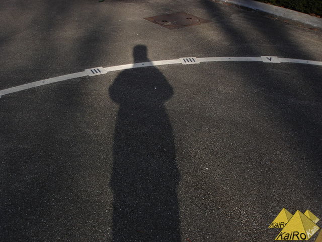 Bild Nr. 21353
