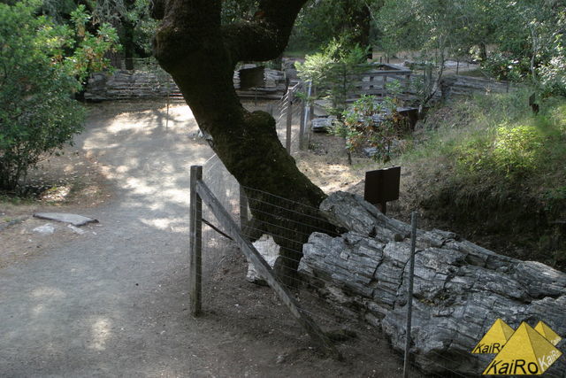 Image No. 23016