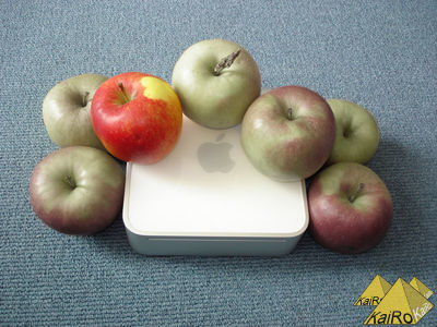 Image No. 15489