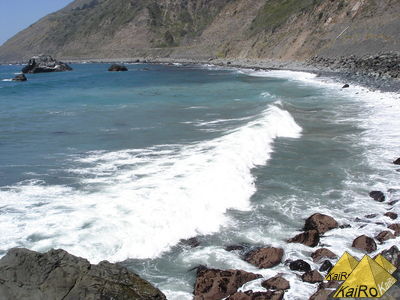 Image No. 19282