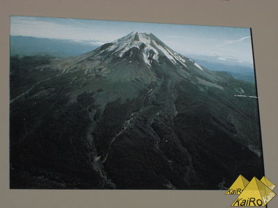 Image No. 21109