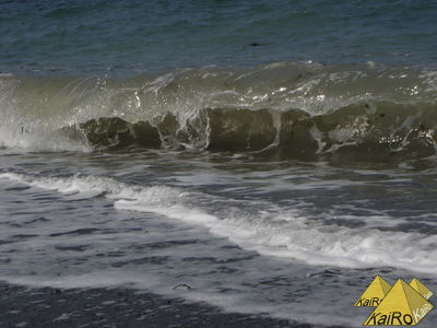 Bild Nr. 21166