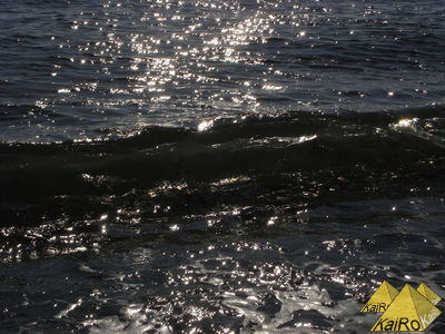 Bild Nr. 21177