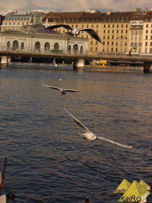 Bild Nr. 21304