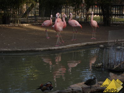 Bild Nr. 21360