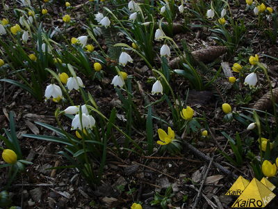 Bild Nr. 21364