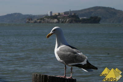 Bild Nr. 22957