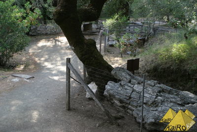 Image No. 23016