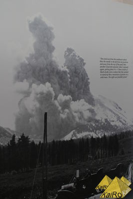 Image No. 23063