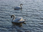 Bild Nr. 15193