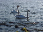 Bild Nr. 15197