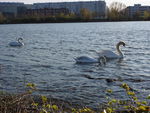 Bild Nr. 15198