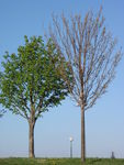 Bild Nr. 15201