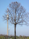 Bild Nr. 15202