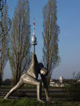 Bild Nr. 15206