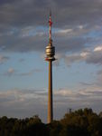 Bild Nr. 16073