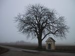 Bild Nr. 1717