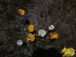 Bild Nr. 19280