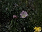 Bild Nr. 19281