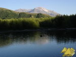 Bild Nr. 21111