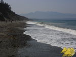Bild Nr. 21167