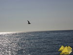 Bild Nr. 21175