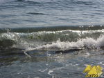Bild Nr. 21176