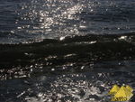 Bild Nr. 21177