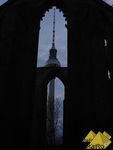Bild Nr. 21792