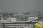 Bild Nr. 22461
