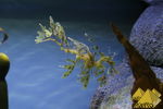 Bild Nr. 22469