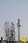 Bild Nr. 22685