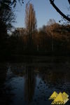 Bild Nr. 22789