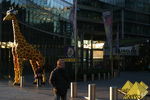Bild Nr. 22793