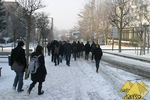 Bild Nr. 22972
