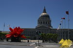 Image No. 22992