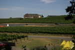 Bild Nr. 23009