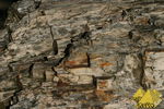 Bild Nr. 23015