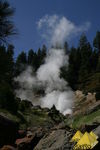 Bild Nr. 23078