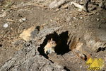 Bild Nr. 23080