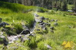 Bild Nr. 23081