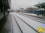 Bild Nr. 5836